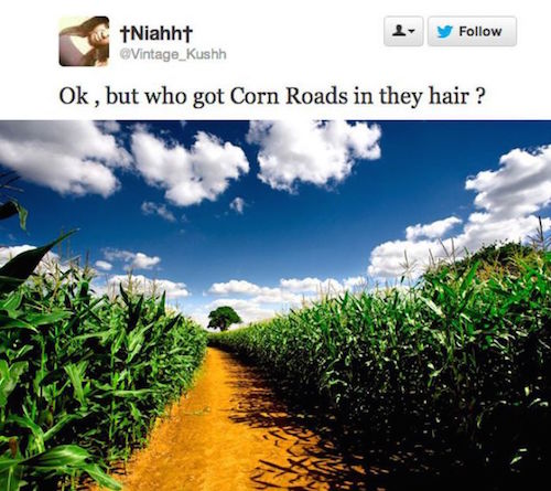 Perfect Photo Responses to the Dumbest Tweets Ever Tweeted