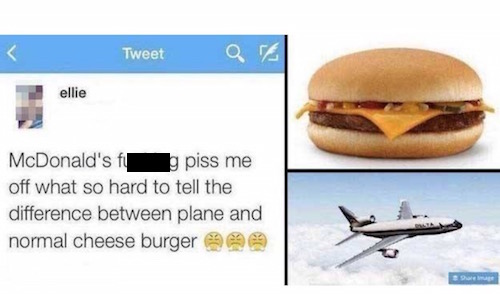 Perfect Photo Responses to the Dumbest Tweets Ever Tweeted