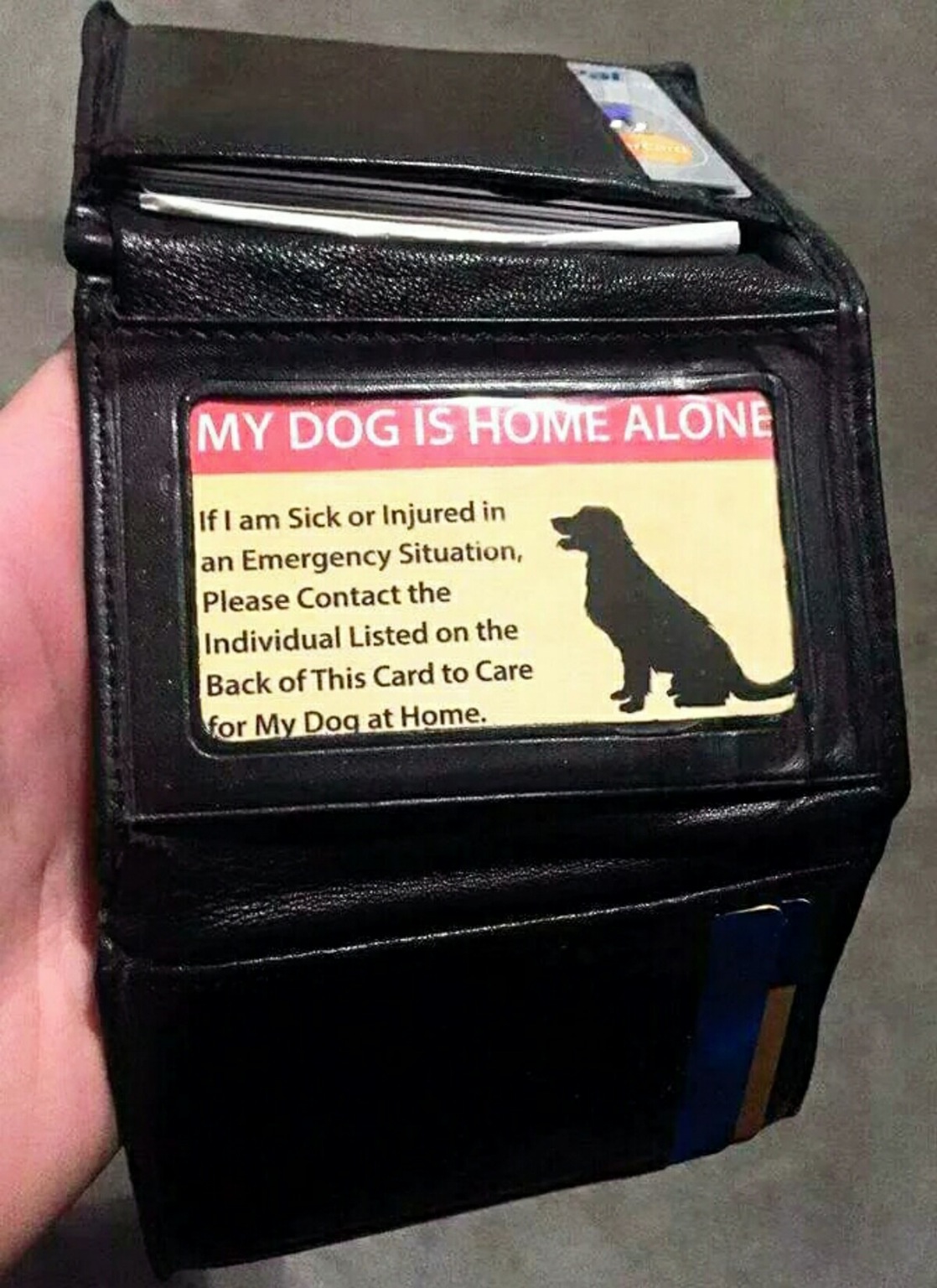 Great idea for pet owners