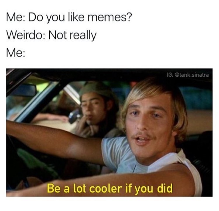 memes - lot cooler if you did - Me Do you memes? Weirdo Not really Me Ig .sinatra Be a lot cooler if you did