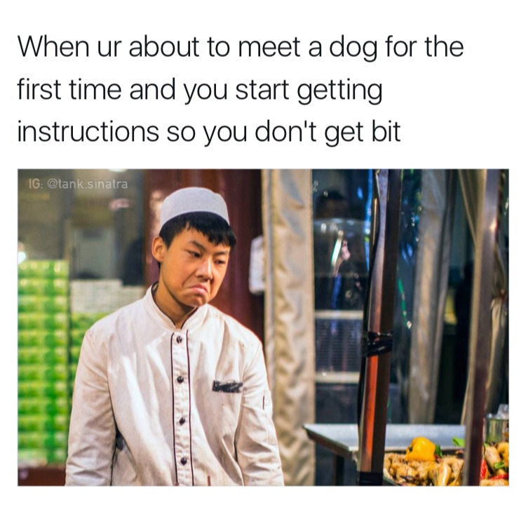 memes - disappointed chinese - When ur about to meet a dog for the first time and you start getting instructions so you don't get bit Ig .sinatra