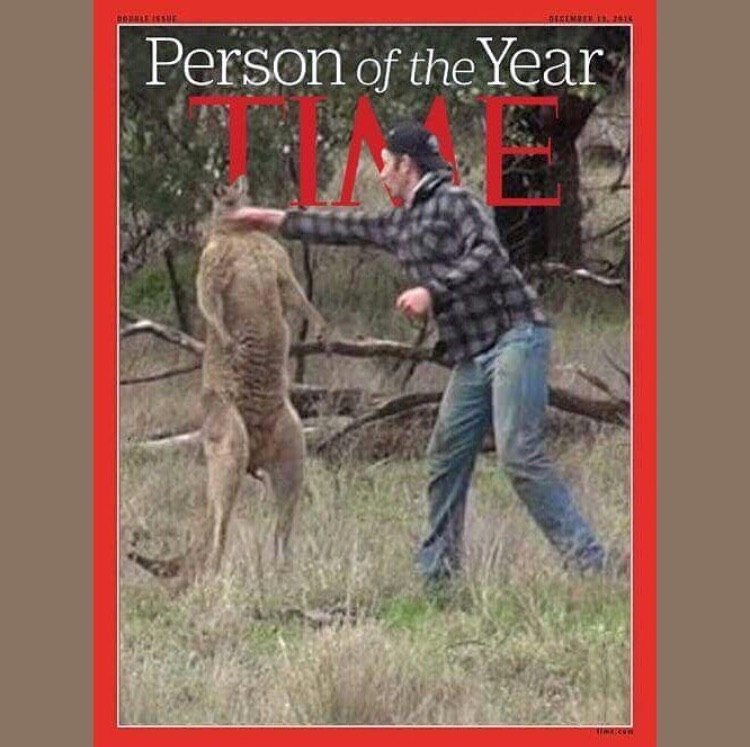 memes - guy punching a kangaroo - | Person of the Year