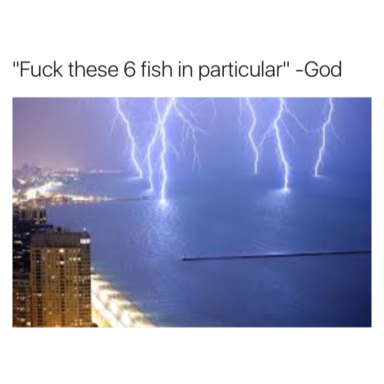 memes - lightning strike lake michigan - "Fuck these 6 fish in particular" God