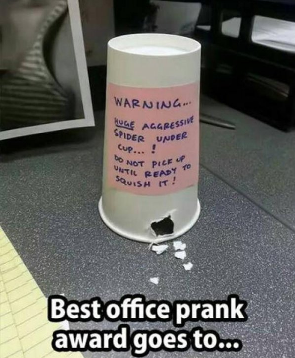 Brutal Pranks From Natural Born A**holes