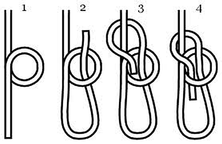 The bowline knot may be the most useful knot, because it it secure and can be tied and untied easily. You can do it in 4 simple steps