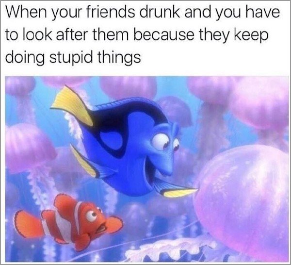 memes - dory finding nemo - When your friends drunk and you have to look after them because they keep doing stupid things