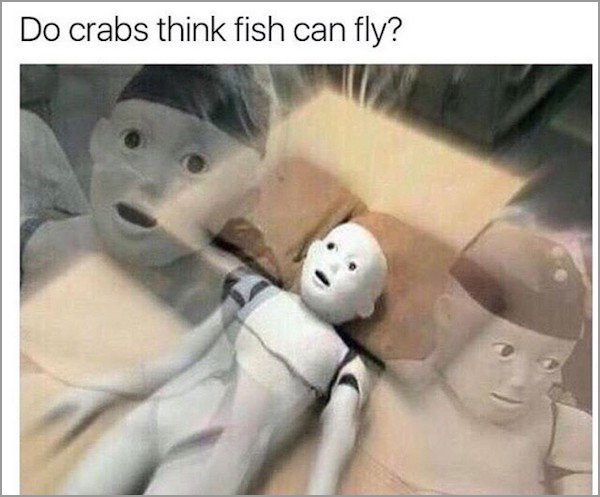 memes - do crabs think fish fly - Do crabs think fish can fly?