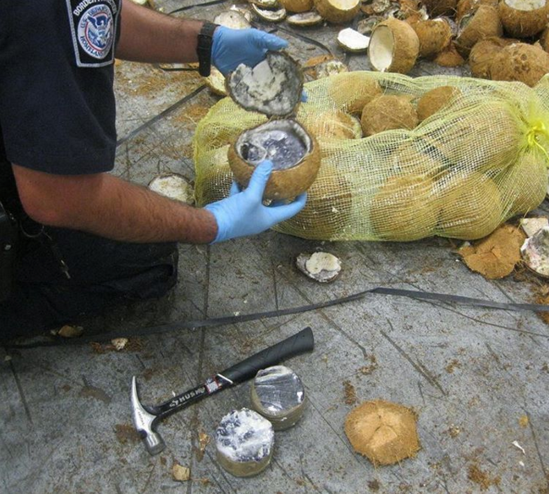 U.S. Customs and Border Protection (CBP) officers seized over two tons of marijuana hidden inside of coconuts in Pharr, Texas.