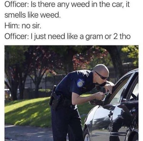 kevin spacey meme im gay - Officer Is there any weed in the car, it smells weed. Him no sir. Officer I just need a gram or 2 tho