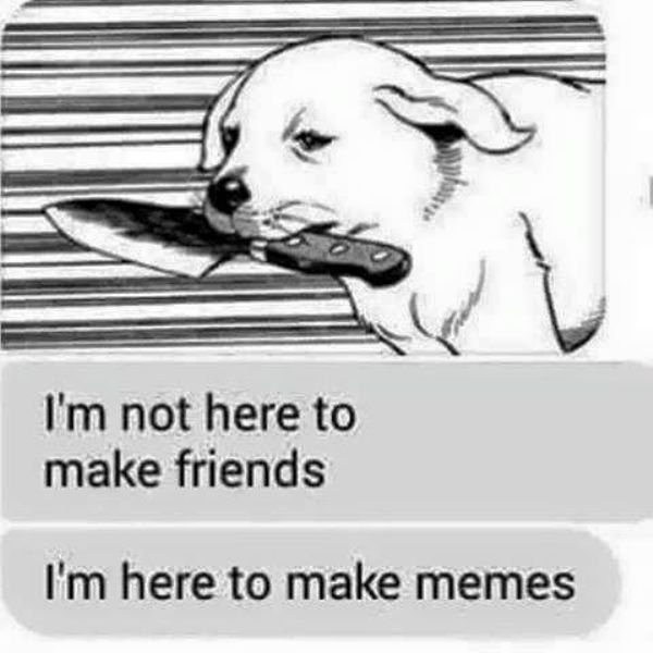 betrayal meme - I'm not here to make friends I'm here to make memes