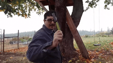 throwing knives at tree gif