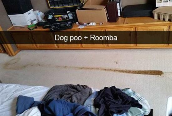 people having a worse day than you - Dog poo Roomba