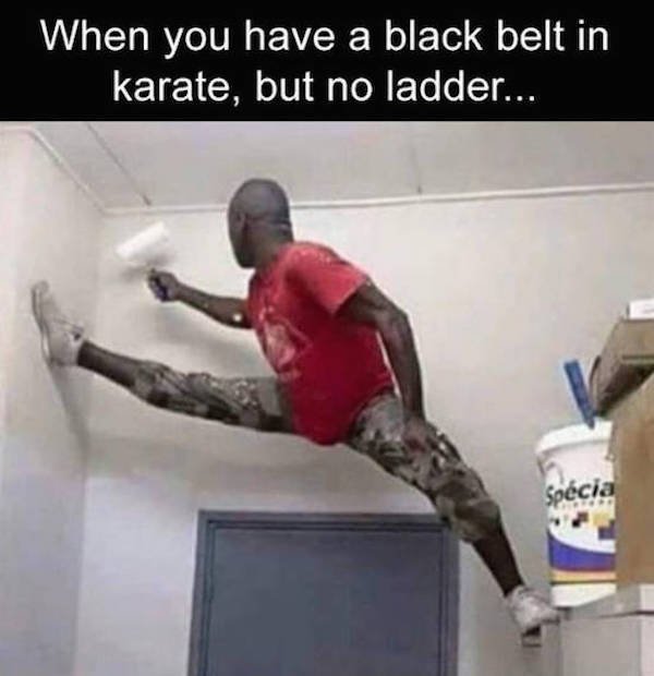 karate meme funny - When you have a black belt in karate, but no ladder... Spcia