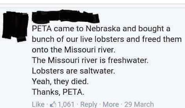 peta releases lobsters - Peta came to Nebraska and bought a bunch of our live lobsters and freed them onto the Missouri river. The Missouri river is freshwater. Lobsters are saltwater. Yeah, they died. Thanks, Peta. 1,061 More 29 March