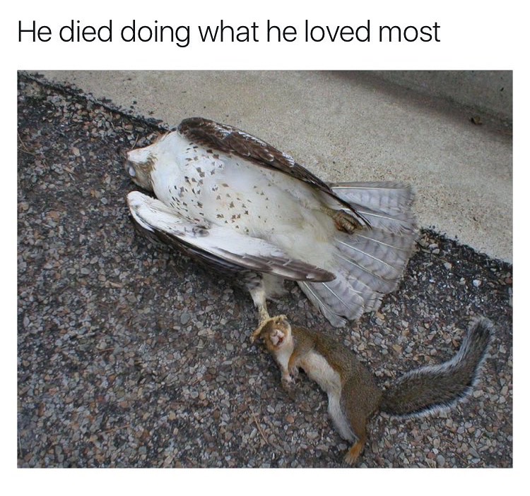 he died doing what he loved meme - He died doing what he loved most