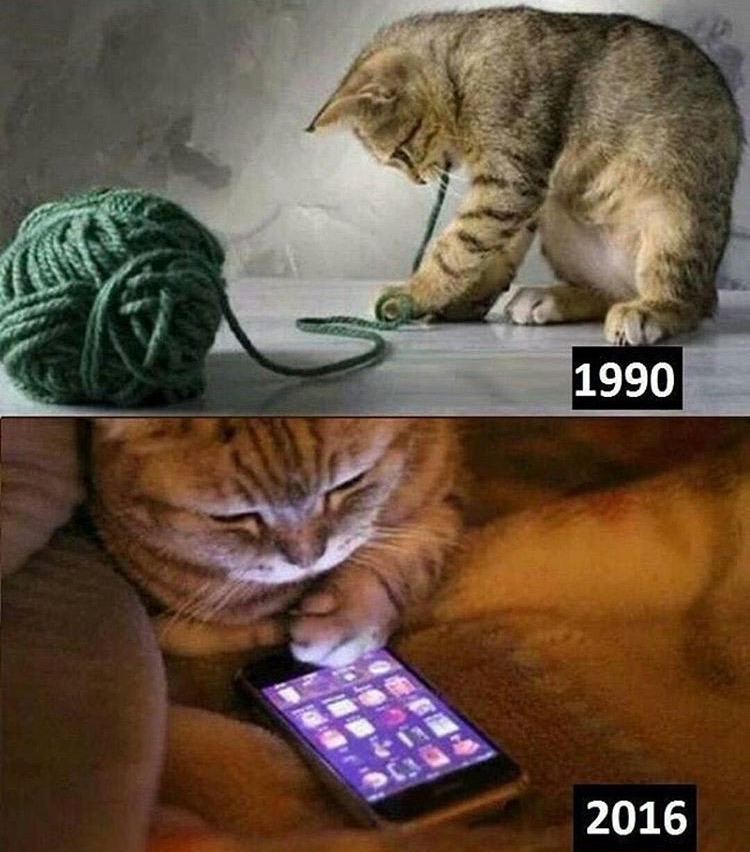 only 90s cats will understand - 1990 2016
