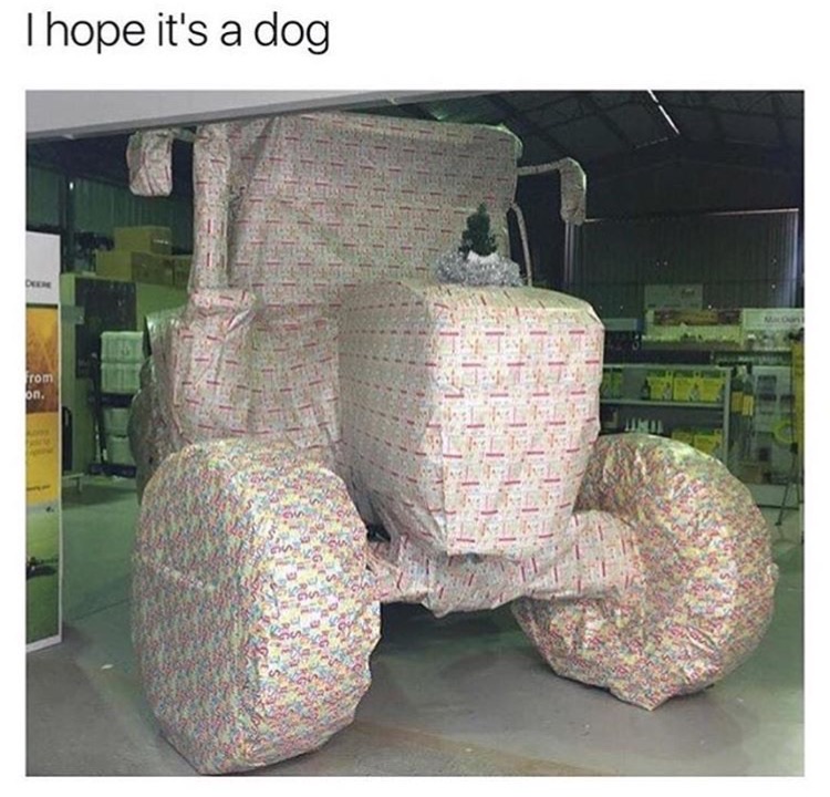 hope it's a dog meme - Thope it's a dog from