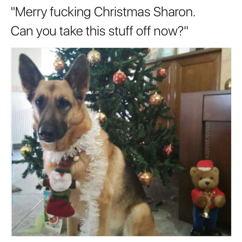 christmas karen meme - "Merry fucking Christmas Sharon. Can you take this stuff off now?" Ig .sinatra