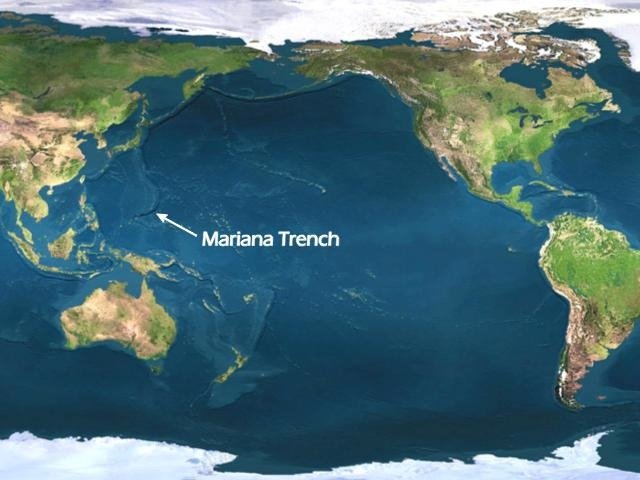 There are strange, metallic sounds coming from the Mariana Trench, the deepest point on Earth’s surface. Scientists currently think the noise is a new kind of baleen whale call.