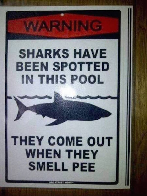 fail funny shark sign - Warning Sharks Have Been Spotted In This Pool They Come Out When They Smell Pee