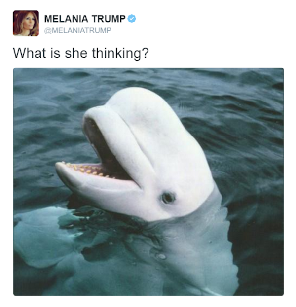 fail melania trump what is she thinking