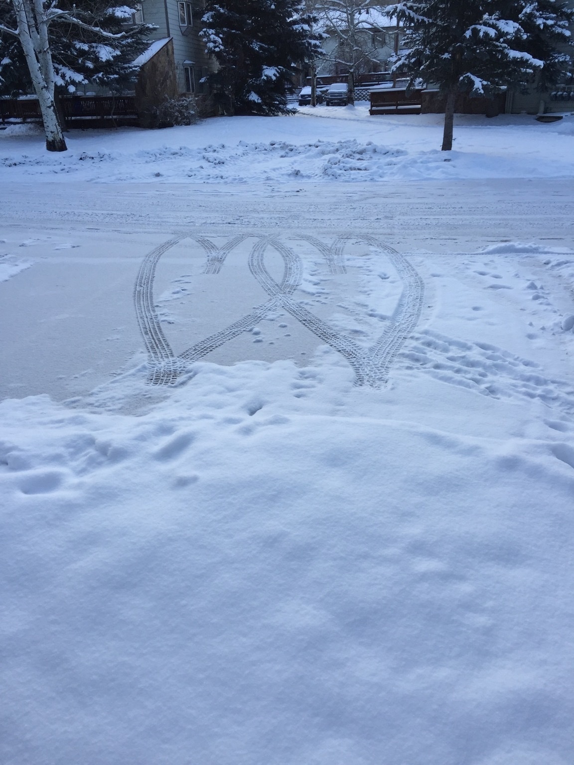 Cars backing out of a driveway made this romantic sign.