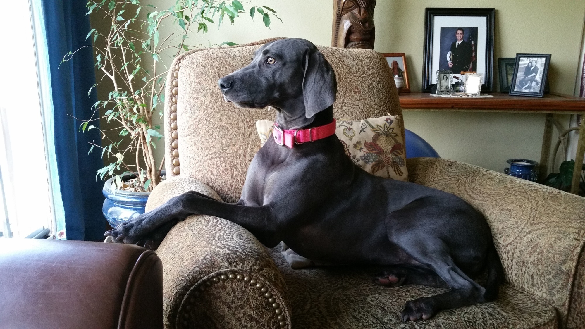 This is how you sit like a proper gentleman. Tomorrow's lesson will be learning how to walk with flair.