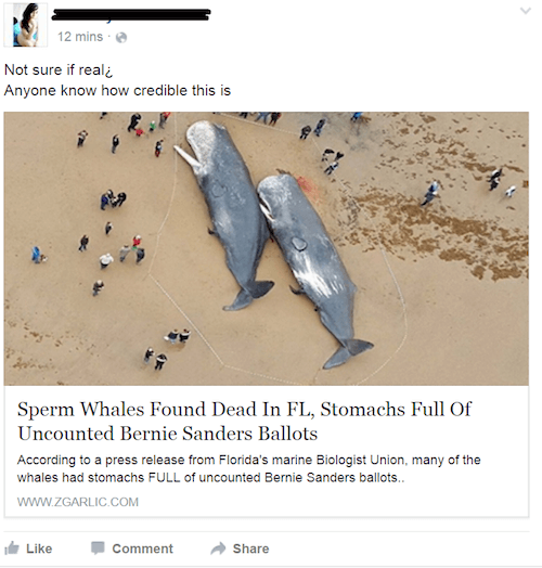 sperm whales found dead in germany - 12 mins. Not sure if reali Anyone know how credible this is Sperm Whales Found Dead In Fl, Stomachs Full Of Uncounted Bernie Sanders Ballots According to a press release from Florida's marine Biologist Union, many of t