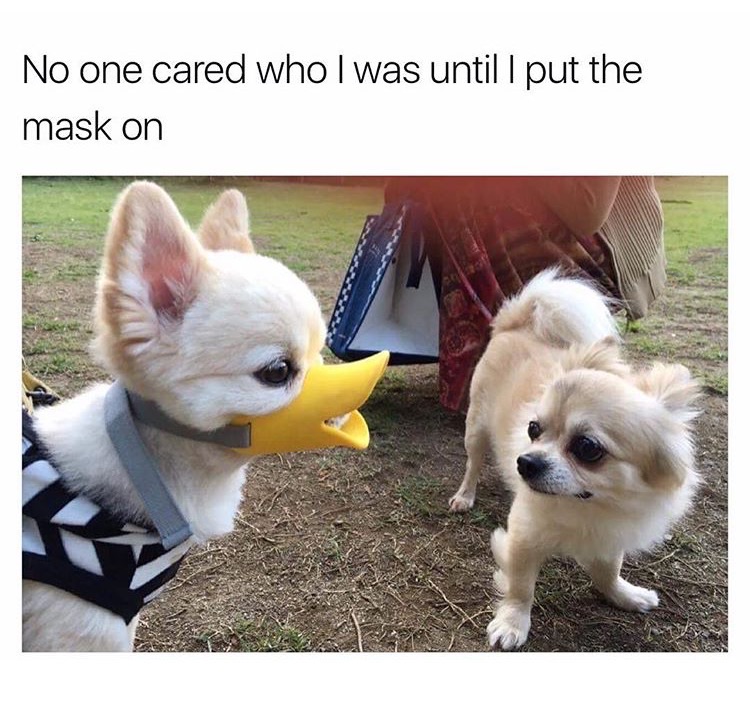 memes - no one cared who i was till - No one cared who I was until I put the mask on