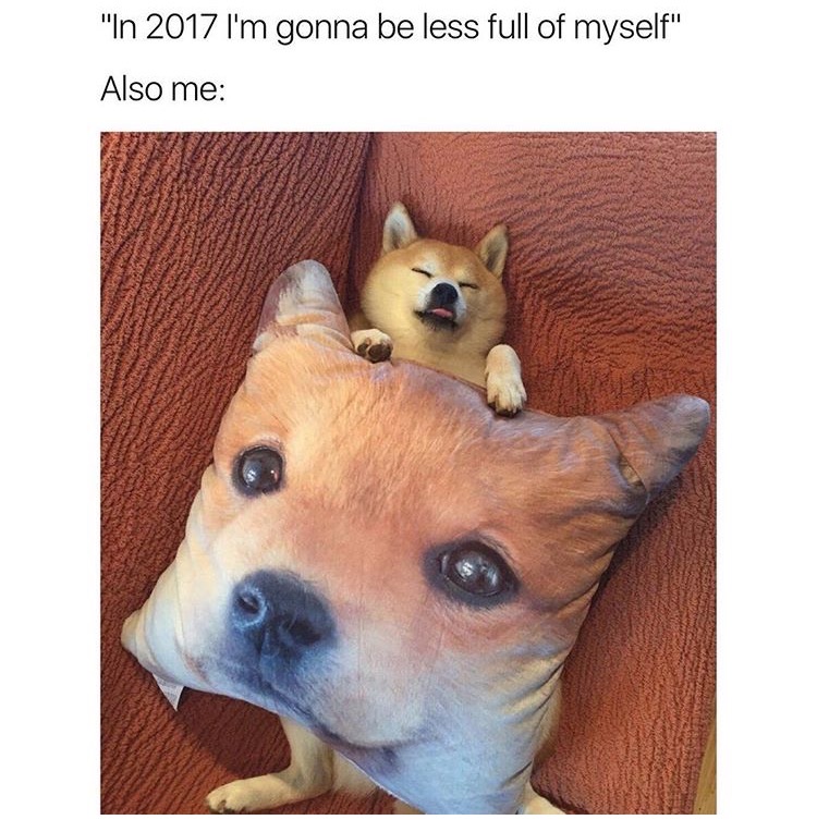 memes - puppy 2017 memes - "In 2017 I'm gonna be less full of myself" Also me