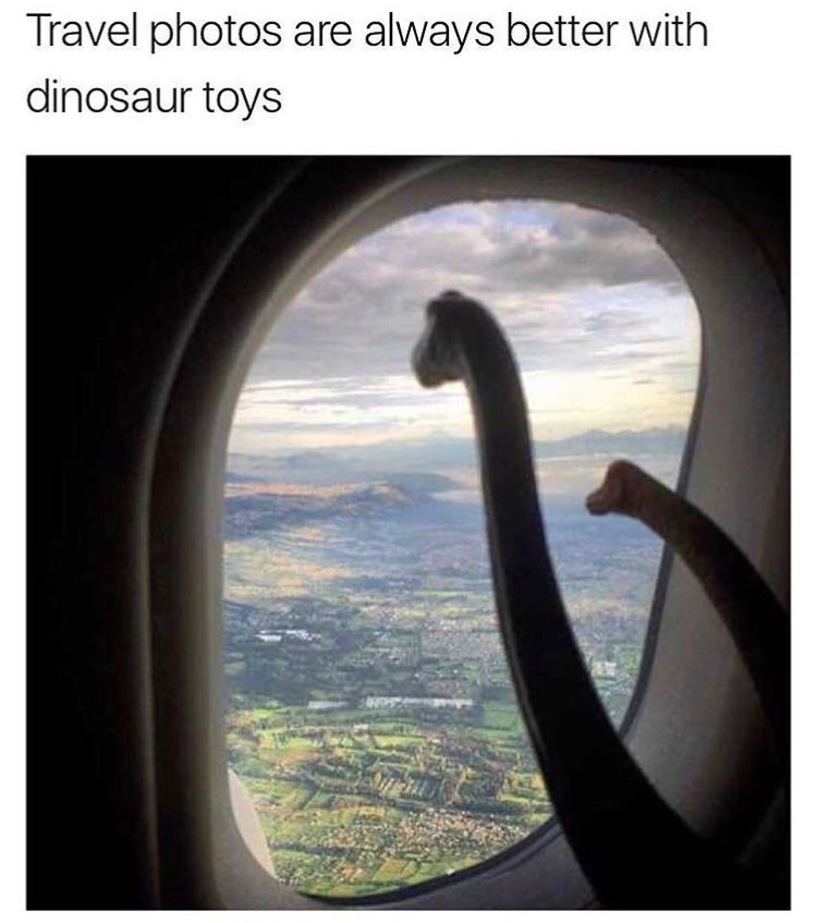 memes - dinosaurs on a plane - Travel photos are always better with dinosaur toys