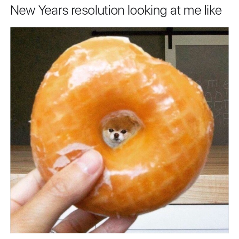 memes - dog looking through donut - New Years resolution looking at me