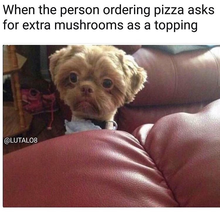 memes - puppy memes - When the person ordering pizza asks for extra mushrooms as a topping