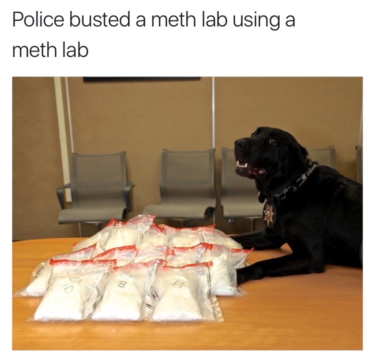 memes - puns are the highest form of humor - Police busted a meth lab using a meth lab