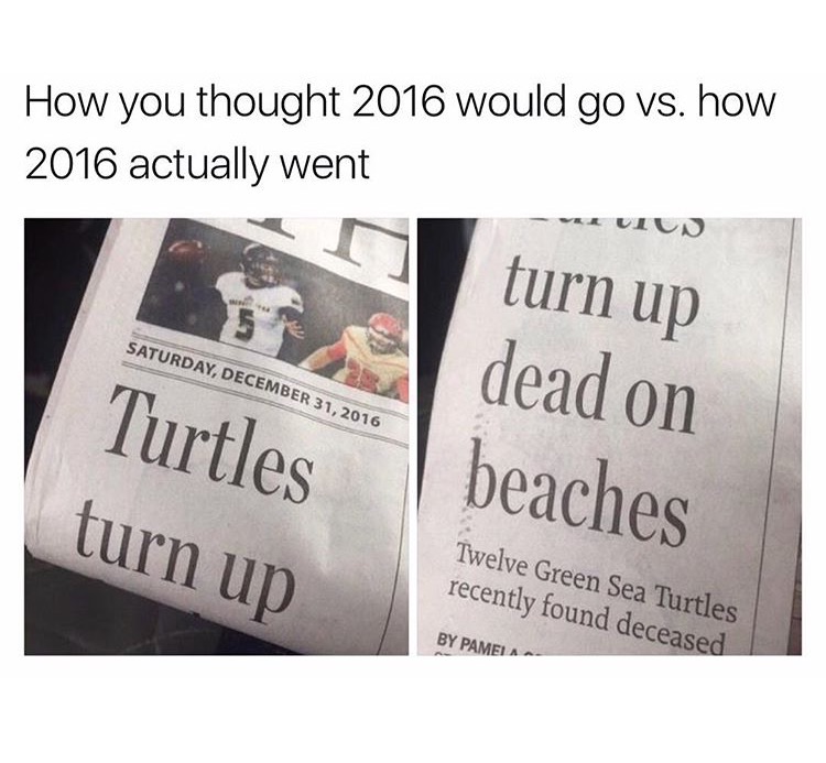 memes - How you thought 2016 would go vs. how 2016 actually went turn up dead on Saturday, Turtles turn up beaches Twelve Green Sea Turtles recently found deceased By Pamela