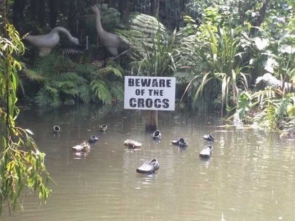 beware of the crocs meme - Beware Of The Crocs