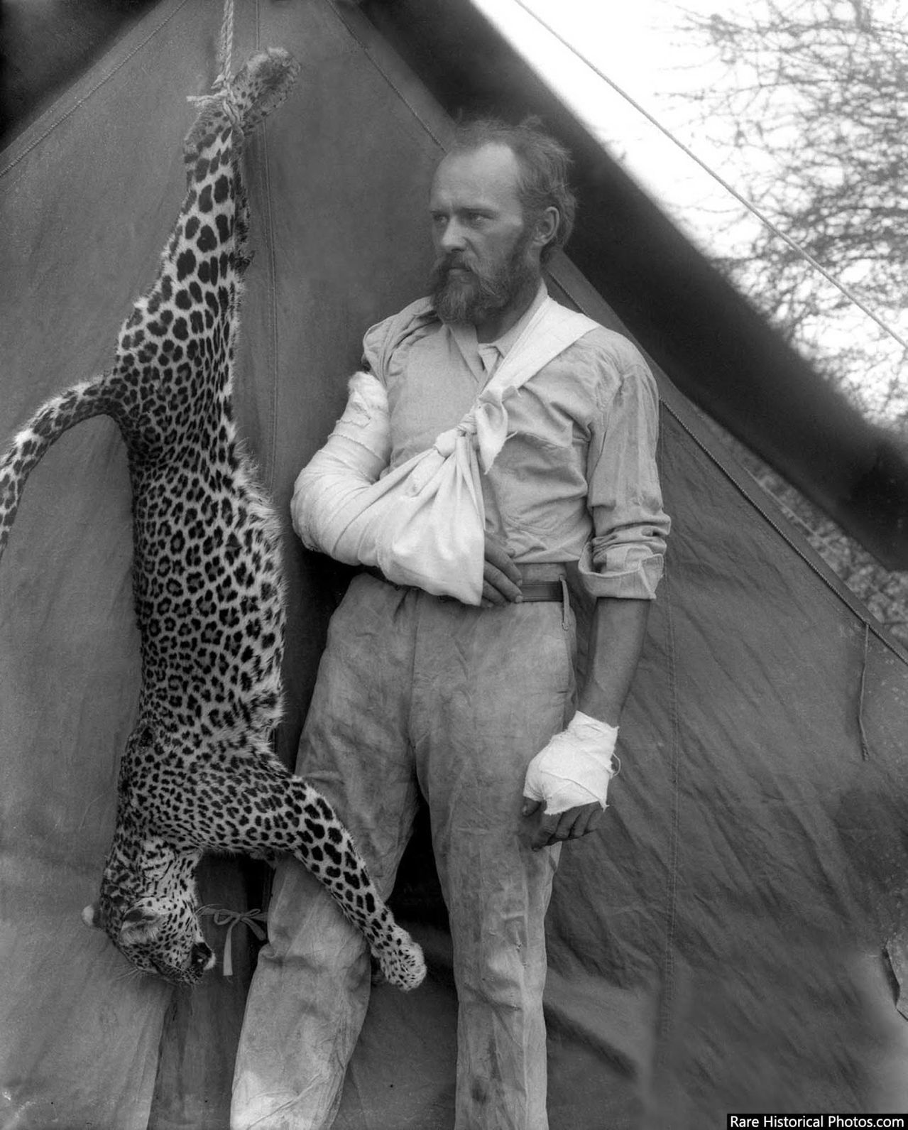 Taxidermist Carl Akeley posing with the leopard he killed with his bare hands after it attacked him, 1896.

Not wanting to end up stuffing the cat with his own entrails, Akeley raised his rifle and fired twice, but he missed both times. On his third shot, the bullet grazed the leopard, sending the feline into a frenzy. Enranged, the big cat screamed and charged the American, all teeth and bad attitude, ready to take his revenge.
Terrified out of his mind, Akeley pulled the trigger a fourth time, only to realize that he was out of bullets. Downright desperate, Akeley tried to flee, loading cartridges into his rifle as he ran. Working the bolt, he turned to shoot, only to see the leopard flying through the air, fangs bared. Fortunately, Akeley’s first shot had wounded one of the cat’s back paws. Thanks to the bullet, the leopard’s jump was a bit off, giving Akeley enough time to throw up his hands. The cat sank its jaws into the man’s forearm, and the two started wrestling back and forth, fighting for their lives. Eventually, the man and cat grew weak and tumbled to the ground. Finally, he managed to strangle the leopard with his left hand while ramming his right arm down the leopard’s throat.