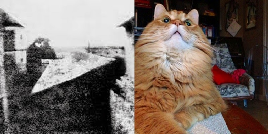 Every two minutes, we take as many photos as all of humanity took during the 1800s. On the left is the first photograph ever taken (1826), View from the Window at Le Gras by French inventor Joseph Nicéphore Niépce. On the right is a cat who accidentally took a picture of itself (2013). It’s estimated that in 2017, humans will take 880 billion photos (not including cats). In fact, 10% of all the photos ever taken were taken in the past 12 months.