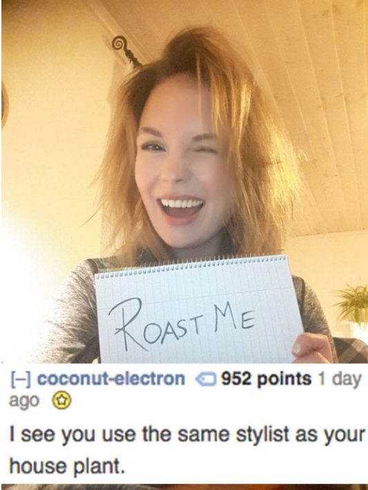 10 Roasts Hotter Than the Fires of Hell