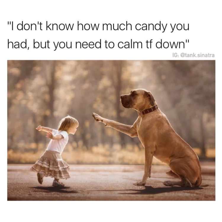 dog and child - "I don't know how much candy you had, but you need to calm tf down" Ig .sinatra