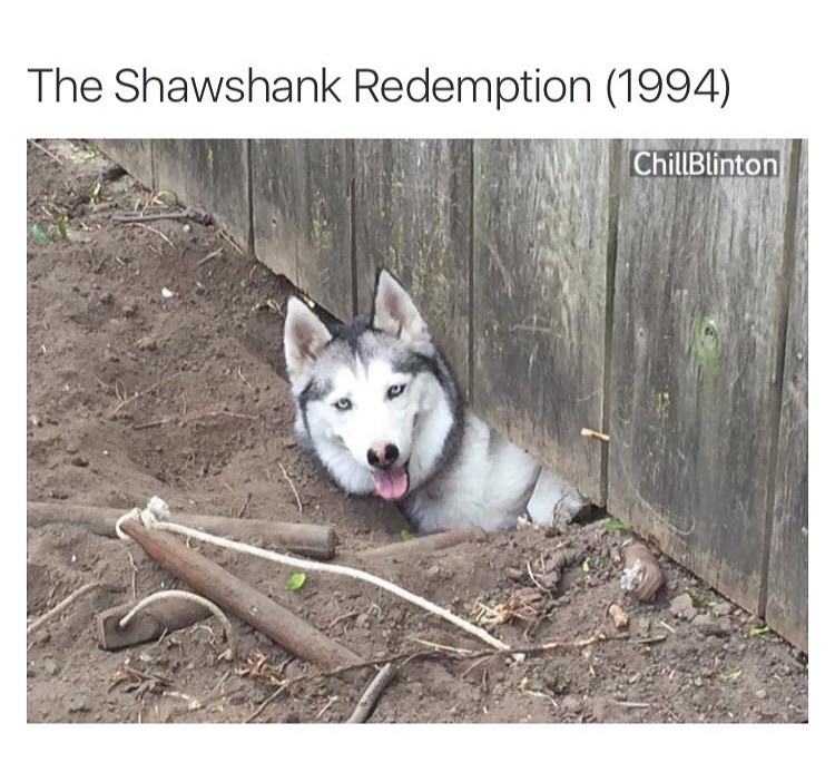 The Shawshank Redemption 1994 ChillBlinton