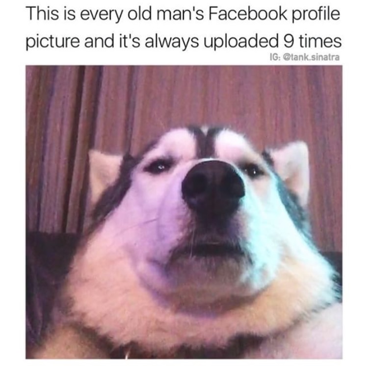 old people facebook profile - This is every old man's Facebook profile picture and it's always uploaded 9 times Ig .sinatra