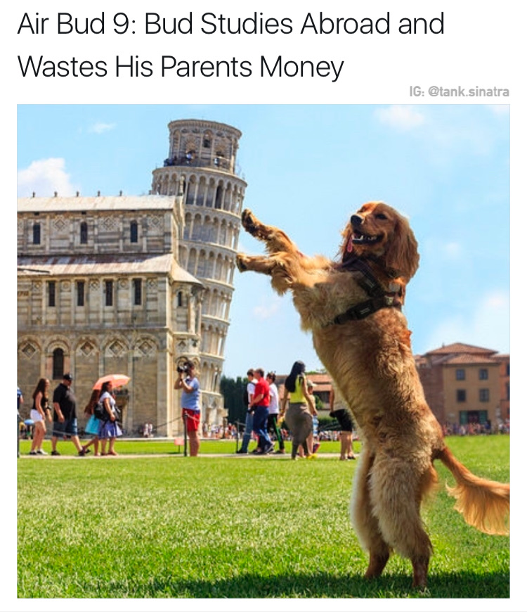 piazza dei miracoli - Air Bud 9 Bud Studies Abroad and Wastes His Parents Money Ig .sinatra