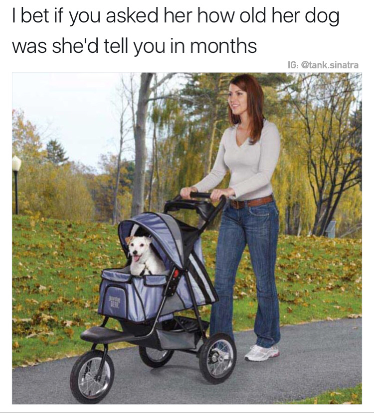 dog in stroller - I bet if you asked her how old her dog was she'd tell you in months Ig .sinatra