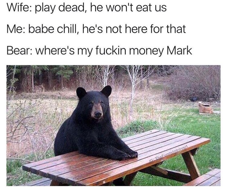 bear picnic table - Wife play dead, he won't eat us Me babe chill, he's not here for that Bear where's my fuckin money Mark IGThe Funnvintrovert