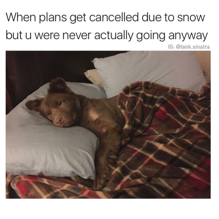 if your party isn t this lit best meme - When plans get cancelled due to snow but u were never actually going anyway Ig .sinatra