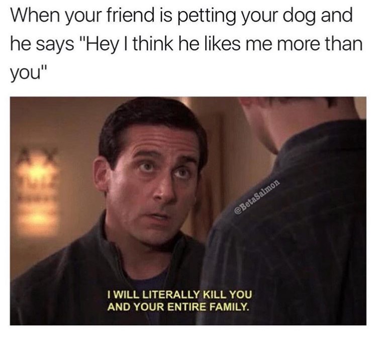 he likes you meme - When your friend is petting your dog and he says "Hey I think he me more than you" I Will Literally Kill You And Your Entire Family.