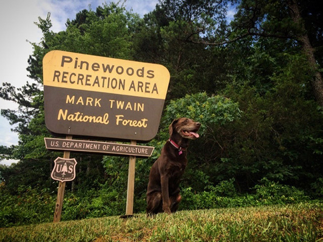 Guy Takes His Terminally Ill Dog On A Farewell Trip Of A Lifetime