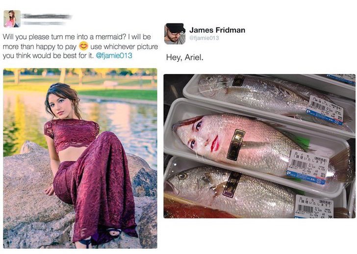 fridman memes - James Fridman ofjamie013 Will you please turn me into a mermaid? I will be more than happy to pay use whichever picture you think would be best for it. Hey, Ariel. 311