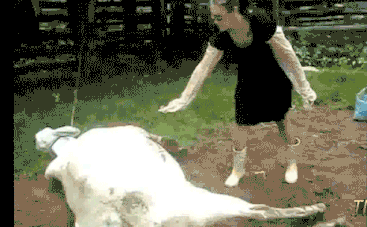 15 gifs of instant regret